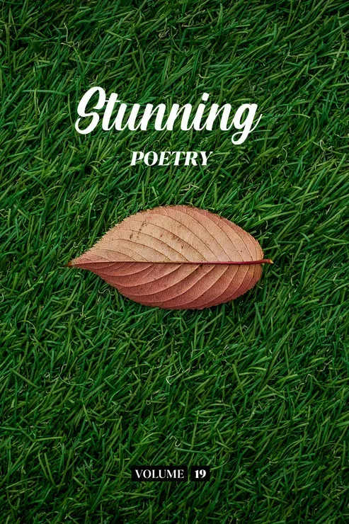 Stunning Poetry - Vol 19 cover